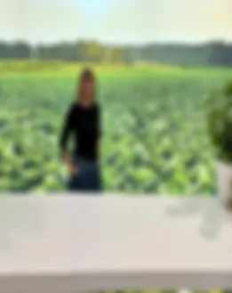 Vom Partner bereitgestelltes Porträt