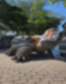 Vom Partner bereitgestelltes Porträt