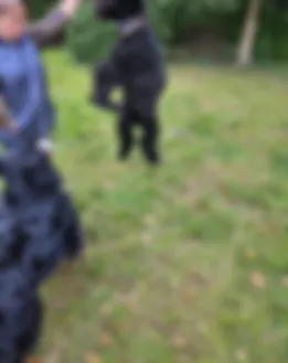 Vom Partner bereitgestelltes Porträt